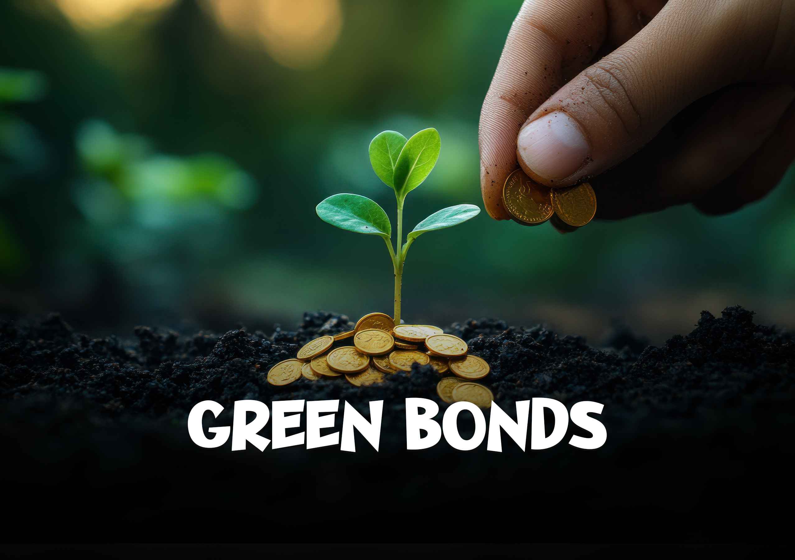 nexaura enterprises kochi4_11zon